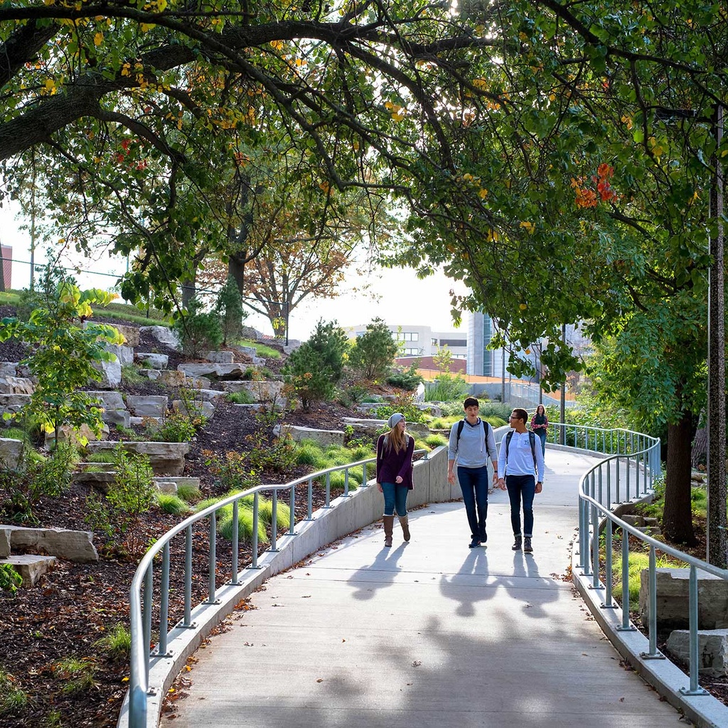 students walking down path surrounded by trees